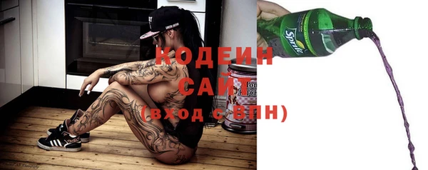 крисы Абаза
