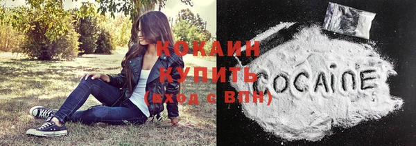 крисы Абаза