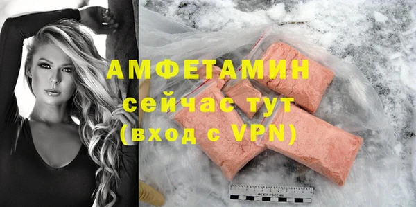 гидра Няндома