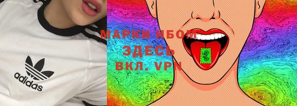 крисы Абаза