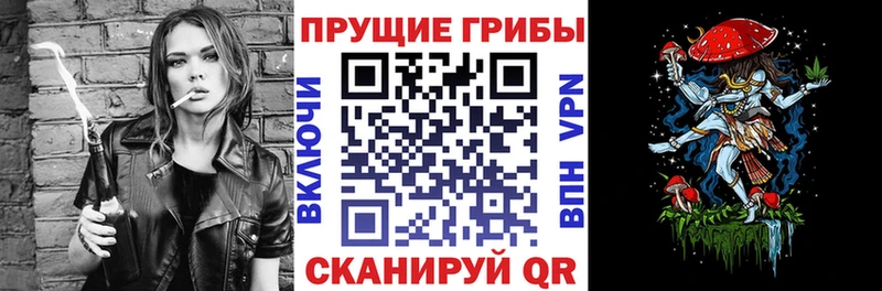 Псилоцибиновые грибы Magic Shrooms  магазин продажи   Петров Вал 